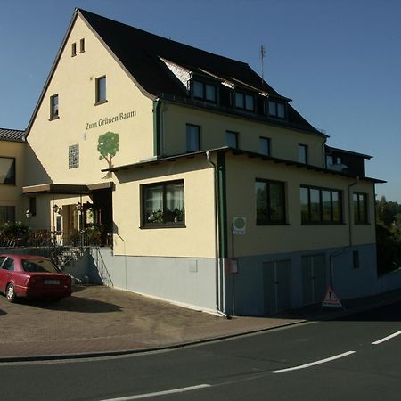 Отель Restaurant Gruener Baum Leidersbach Экстерьер фото