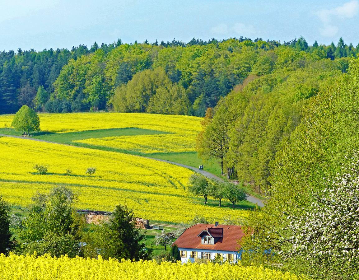 Отель Restaurant Gruener Baum Leidersbach Экстерьер фото