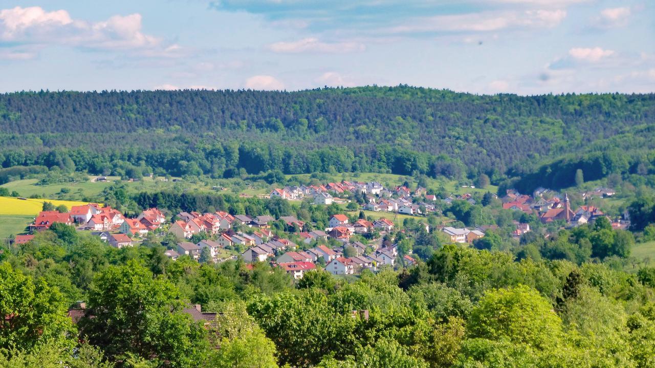 Отель Restaurant Gruener Baum Leidersbach Экстерьер фото